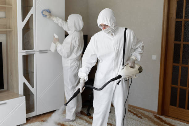 Best Attic Mold Removal  in Ashland, PA
