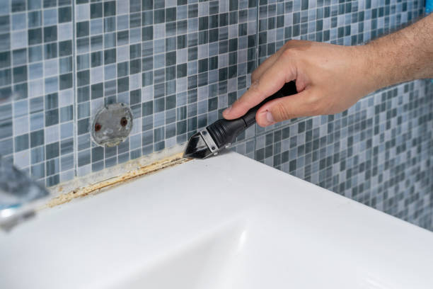 Best Mold Remediation  in Ashland, PA
